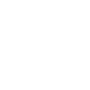logo_2.png