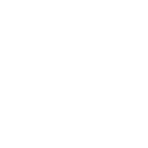logo_4.png